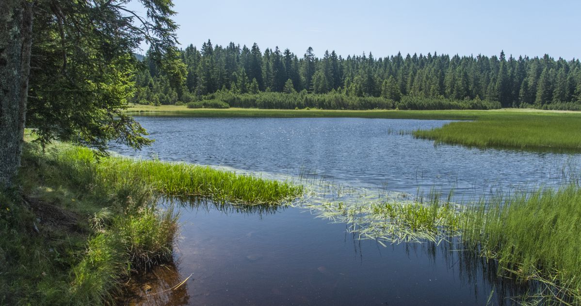 Črno jezero na Pohorju – naravna znamenitost blizu Oplotnice in Edi Residence
