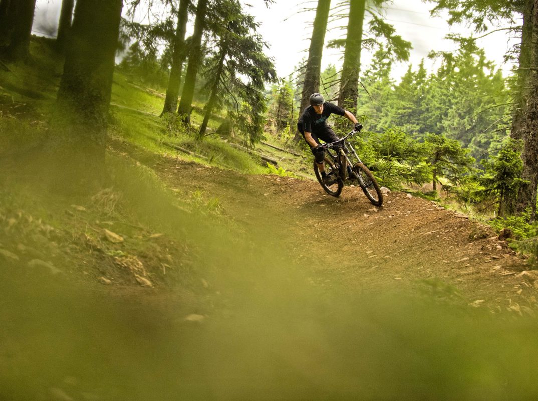 Kolesarjenje na Rogli – gorski kolesar v Bike Parku Pohorje blizu Edi Residence