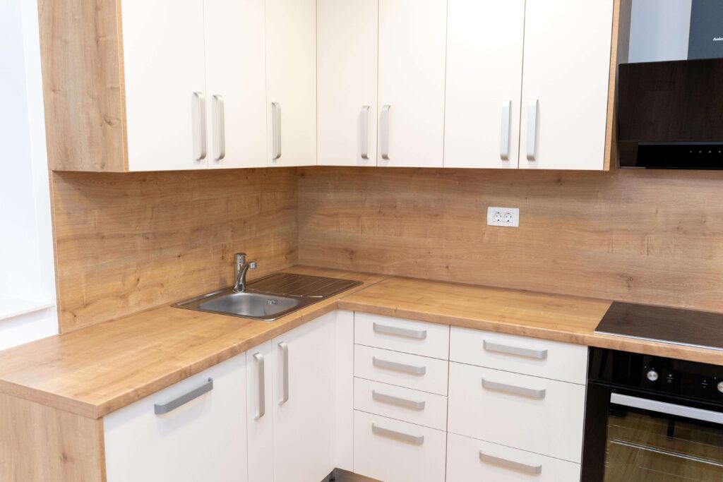 Popolnoma opremljena kuhinja apartmaja v Oplotnici – kuhalna plošča, pečica in pomivalno korito